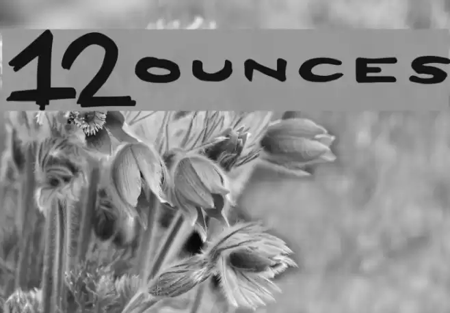 12Ounces[ Шрифта examples