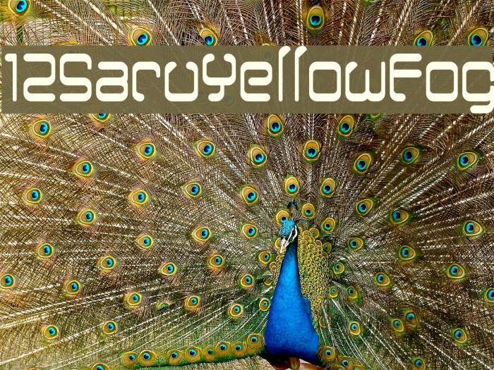 12SaruYellowFog Font examples