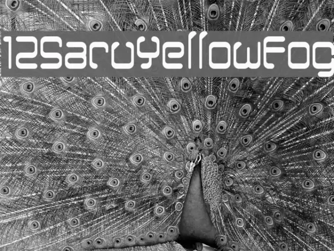 12SaruYellowFog フォント examples