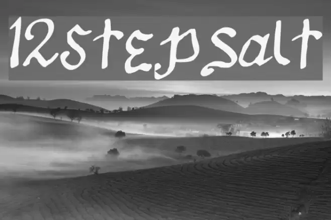 12Stepsalt Font examples