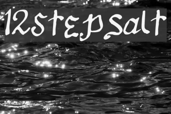 12Stepsalt Font examples