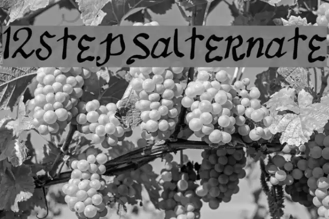 12Stepsalternate फ़ॉन्ट examples