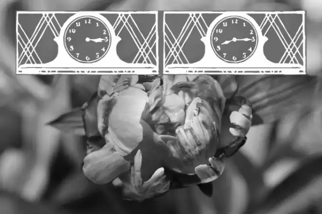 12hours Шрифта examples