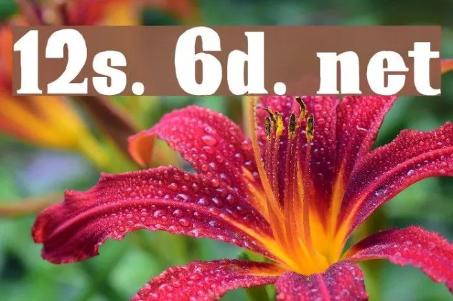 12s. 6d. net Example 2