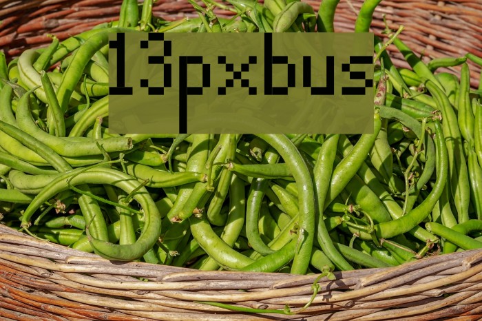 13pxbus Font examples