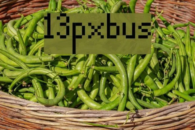 13pxbus Example 2