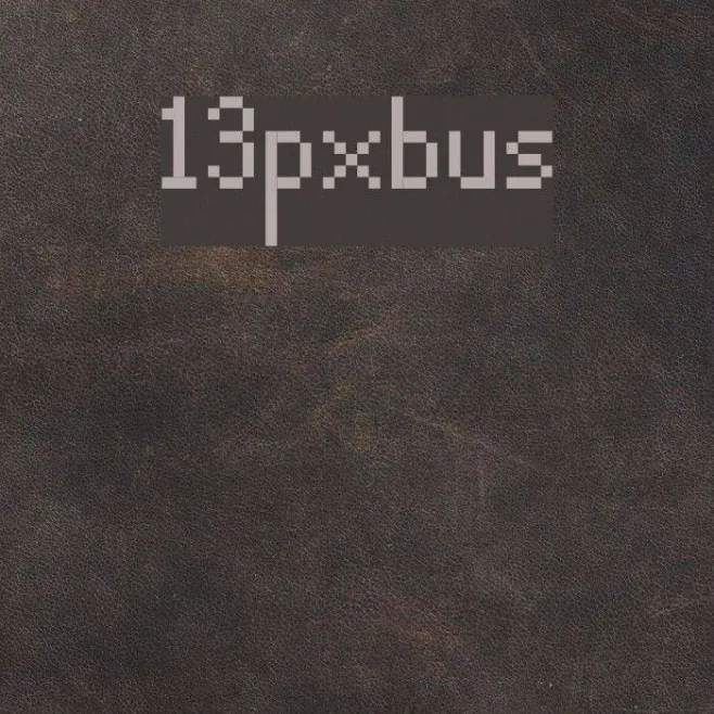 13pxbus Example 3