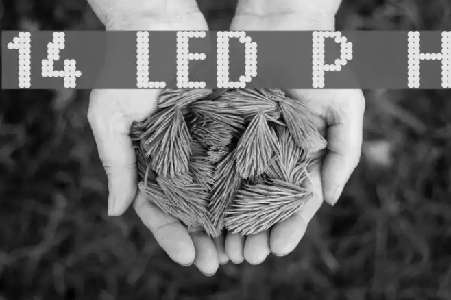 14 LED Phattt Heavy Font examples