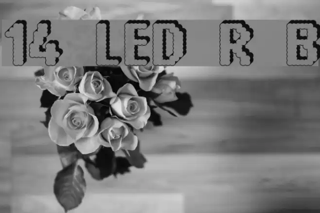 14 LED Rised Black Font examples