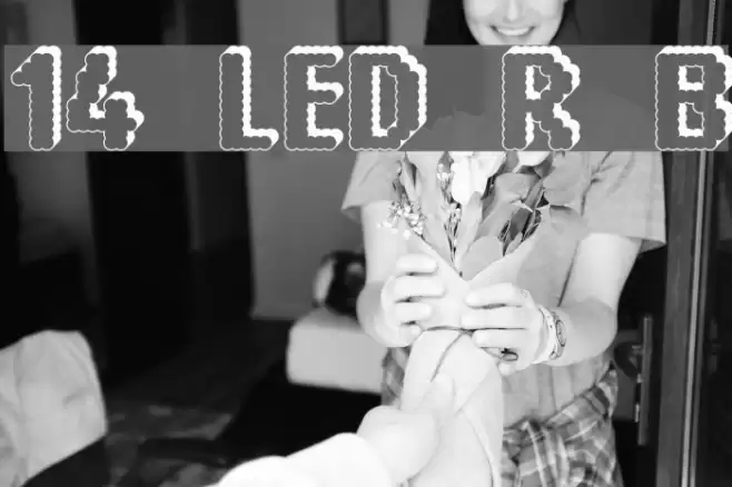 14 LED Rised Black Font examples