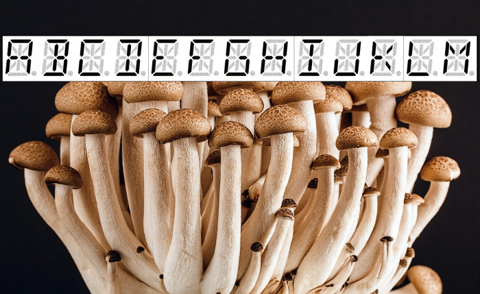 14 Segment LED Example 3