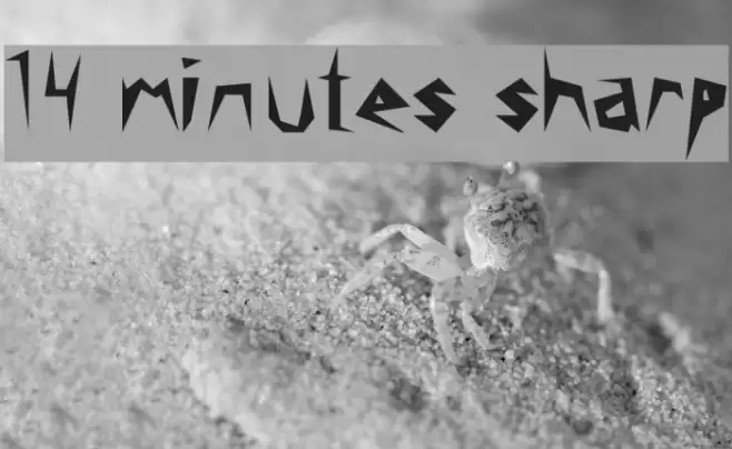 14 minutes sharp Шрифта examples