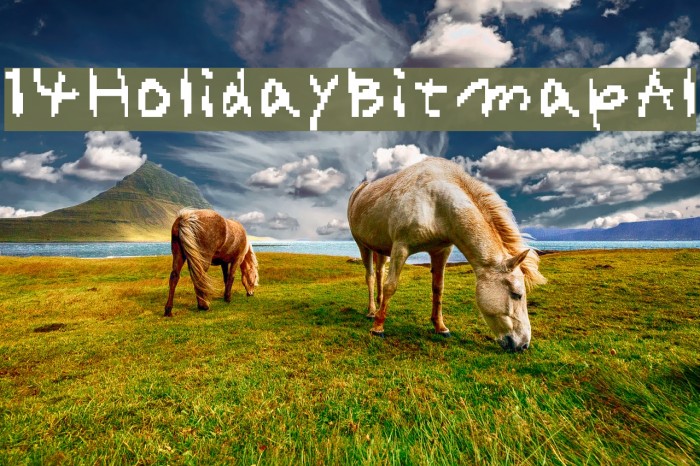 14HolidayBitmapAl Example 3