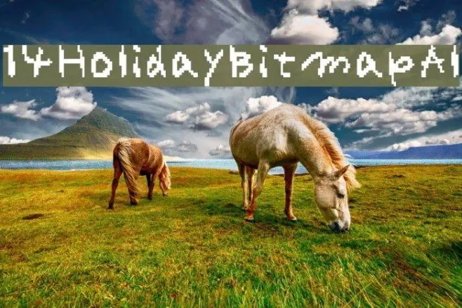 14HolidayBitmapAl Example 3