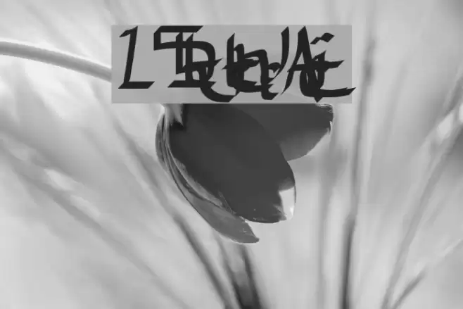 15th Accident Font examples