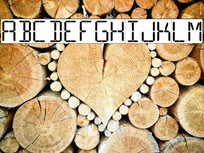 16 Segments Example 3