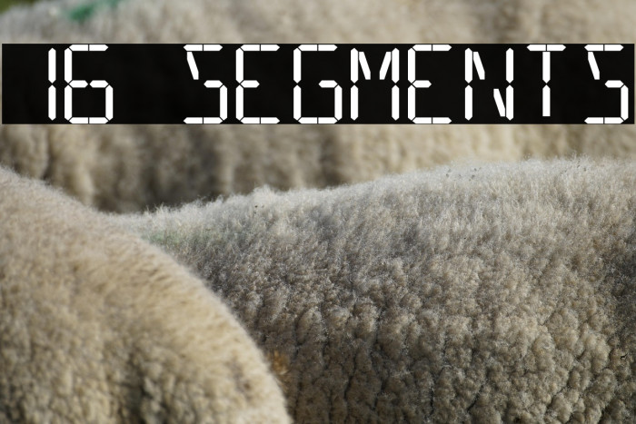 16 Segments Example 3