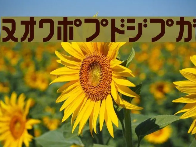 160MKSDKT Example 3