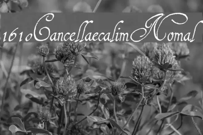 1610_Cancellaresca_lim Normal Fonte examples