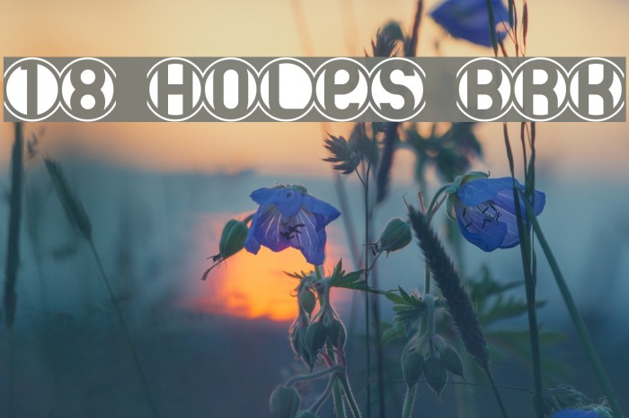 18 Holes BRK Font examples