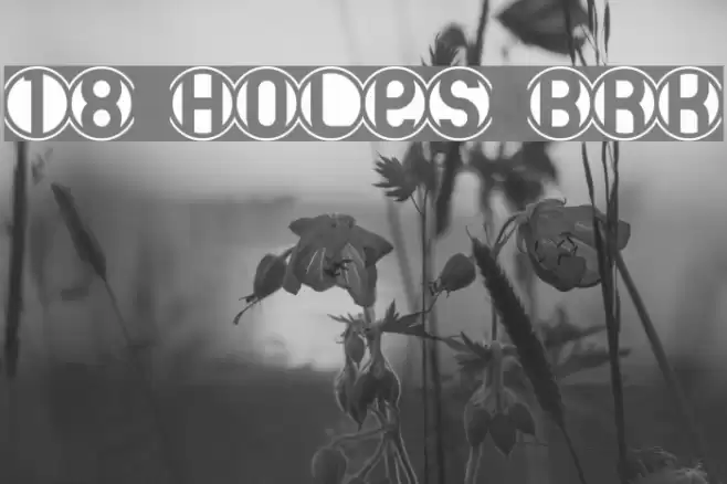 18 Holes BRK Шрифта examples