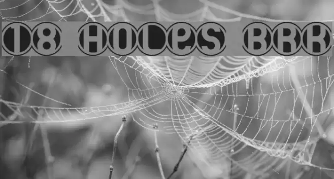 18 Holes BRK Шрифта examples