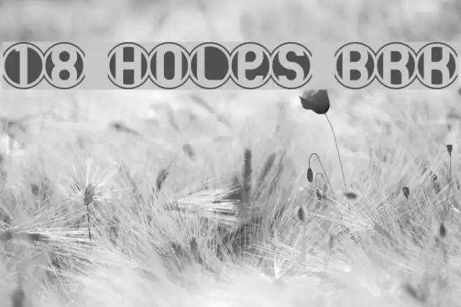 18 Holes BRK Шрифта examples