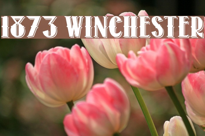 1873 Winchester Font examples