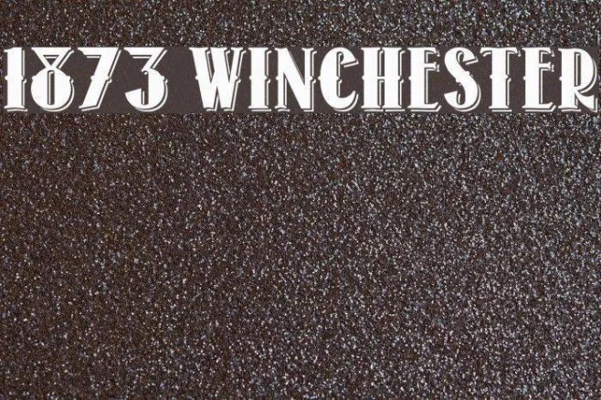 1873 Winchester Example 3