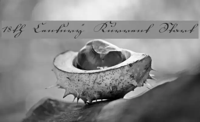 18th Century Kurrent Start Polices examples