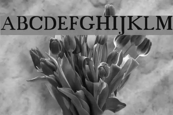 18thCentury Font examples