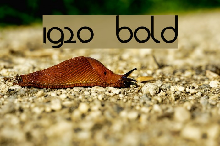 1920 Bold Font examples
