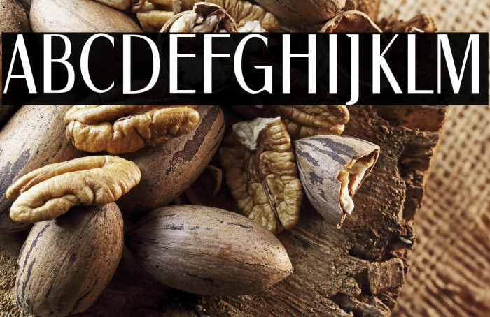 1927 Epoque Example 1