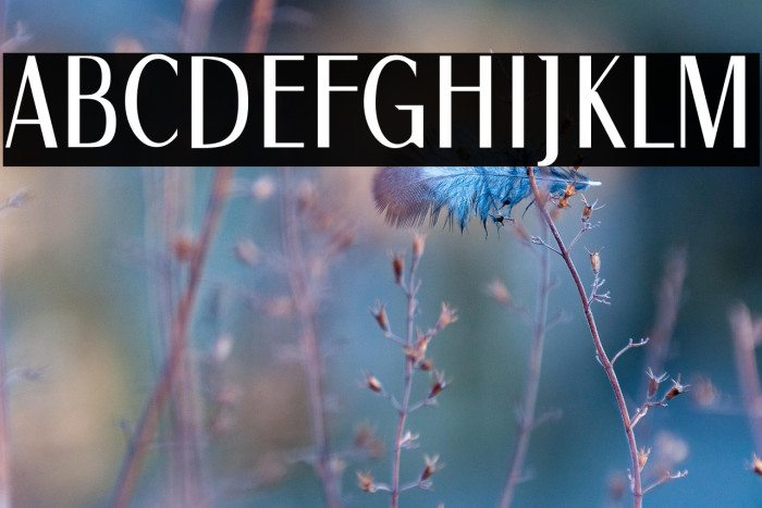 1927 Epoque Example 2