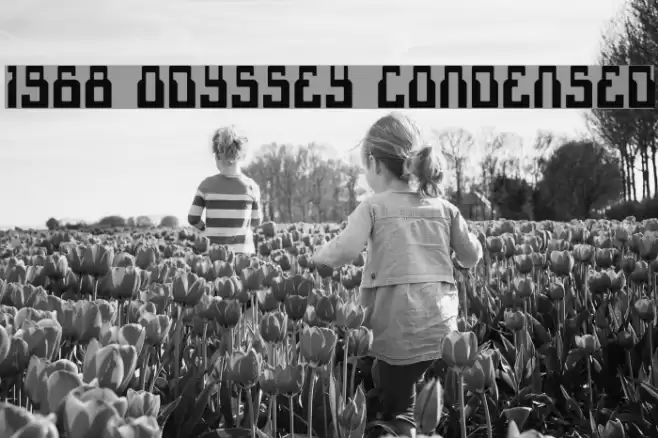 1968 Odyssey Condensed Font examples