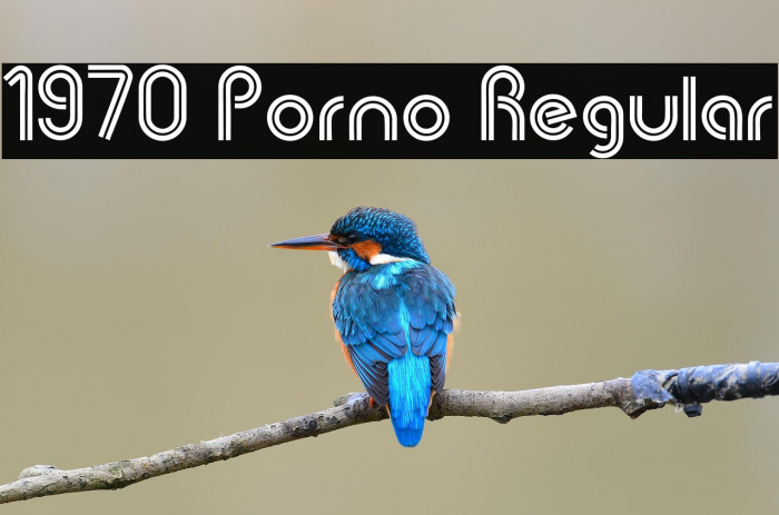 1970 Porno Regular Example 2