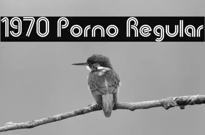 1970 Porno Regular Fuentes examples
