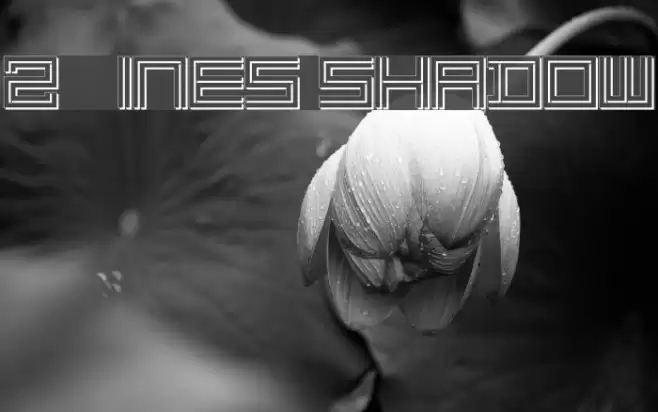 2 Lines shadow خط examples