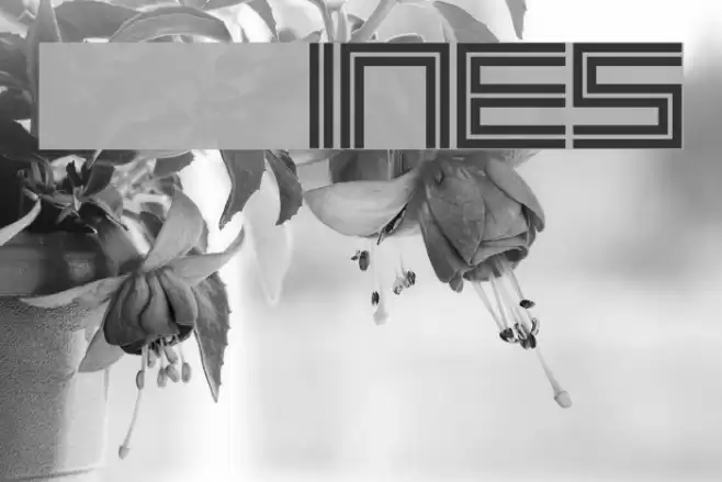 2 Lines フォント examples