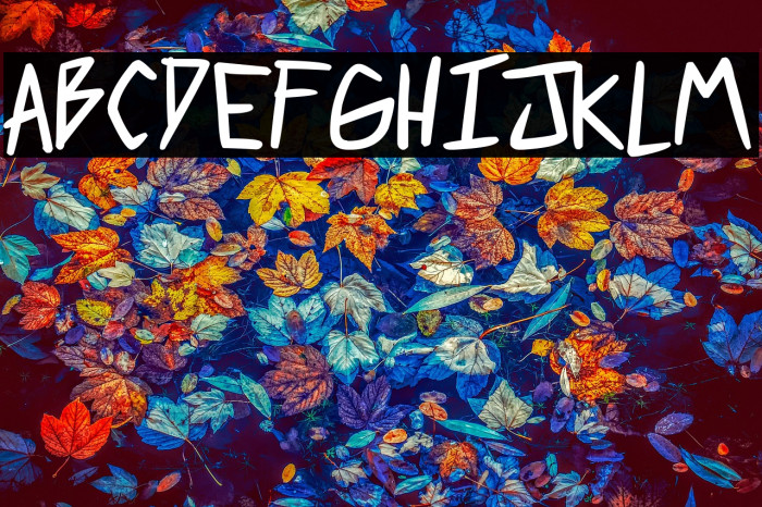 2 much coffee Bold Example 3