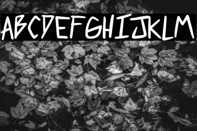 2 much coffee Bold फ़ॉन्ट examples