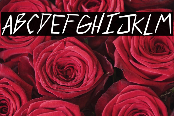 2 much coffee Italic Example 2