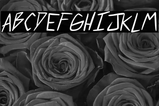 2 much coffee Italic Fuentes examples