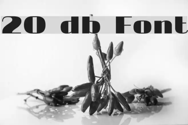 20 db Fuentes examples
