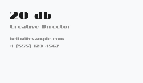 20 db Business Card