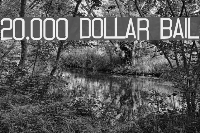 20.000 dollar bail Font examples