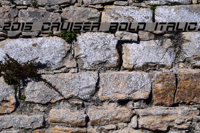 2015 Cruiser Bold Italic Шрифта examples