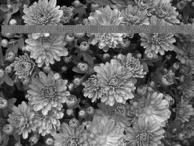 2015 Cruiser Hollow Bold फ़ॉन्ट examples