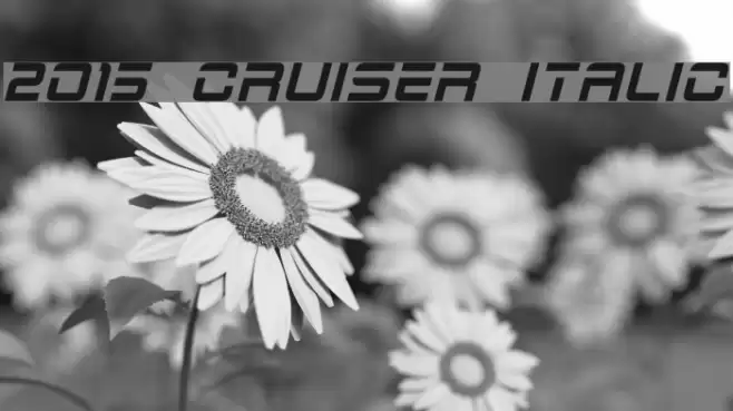 2015 Cruiser Italic フォント examples