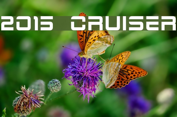 2015 Cruiser Font examples